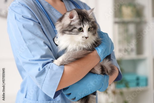 Female veterinarian holding...