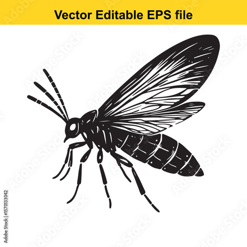 Detailed Vector Illustration of a Black Mosquito Insect Featuring Prominent Wings and Segmented Abdomen Depicted Against a White Background