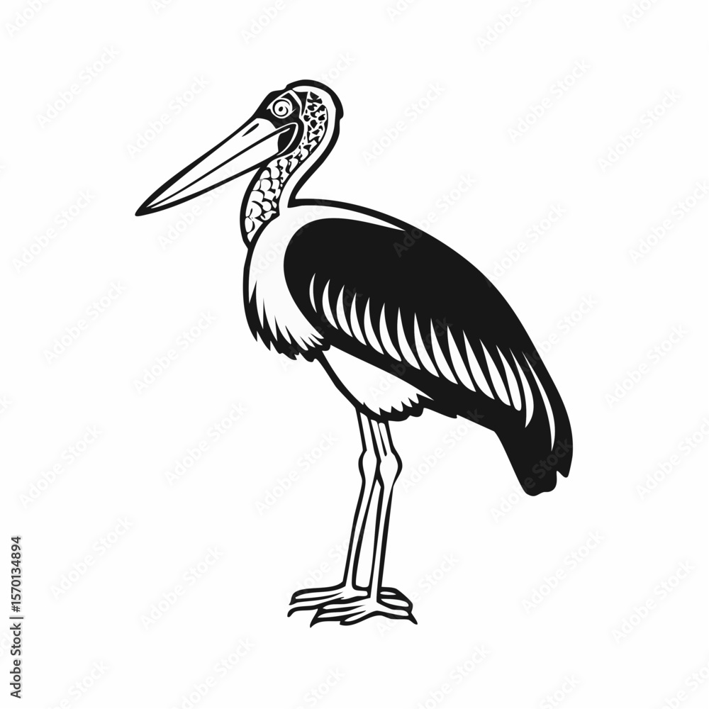 Fototapeta premium Marabou Stork Bird image vector On White Background Stock Vector