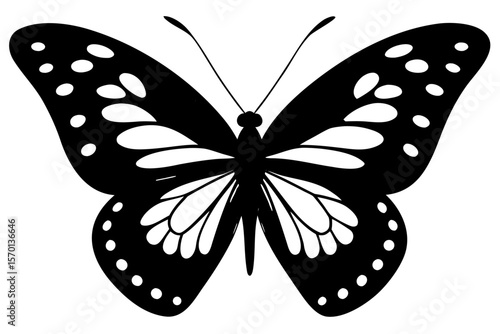 Beautiful orange and black monarch butterfly with outstretched wings, isolated on a clean white background