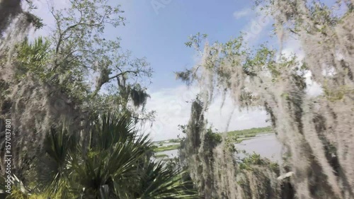 Through Trees into the Marsh