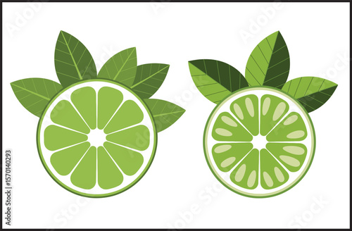 Green lemon slices with leaves vector illustration isolated.