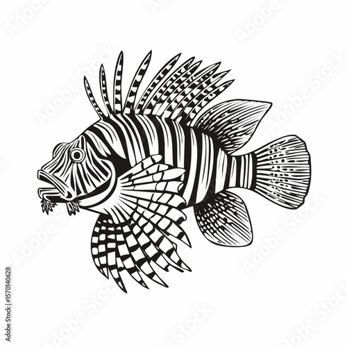 Lion Fish image vector. Illustration of beautiful lion fish image vector.