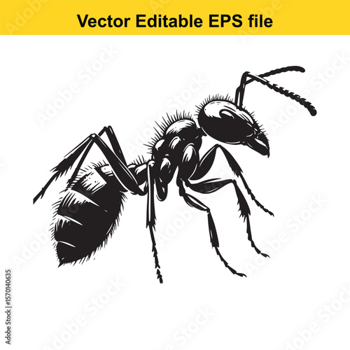 Detailed Silhouette of an Ant Illustrating Anatomy and Form with Precision Vector Art for Educational and Design Purposes