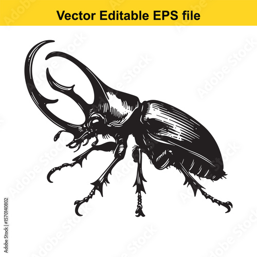 Detailed Vector Illustration of a Rhinoceros Beetle A Striking Depiction of Wildlife Art and Insect Anatomy
