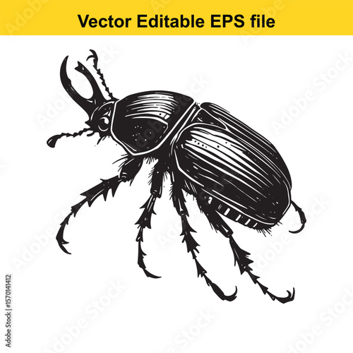 Detailed Illustration of a Scarab Beetle A Striking Entomological Study in Black and White Intricate Details Captured