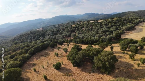 campagne de Corse en fin de journée - Corse
