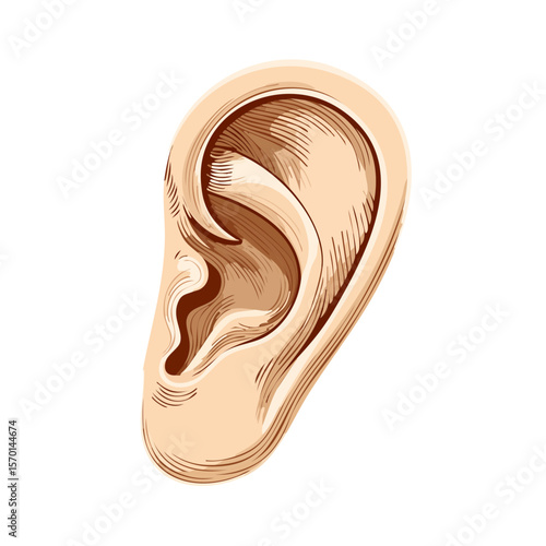 Isolated Illustration of Human Ear with Intricate Shading on a Black Background