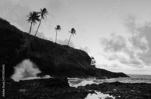 Wave crashing against a coastal cliff on Kauai, with palm trees standing above - black and white