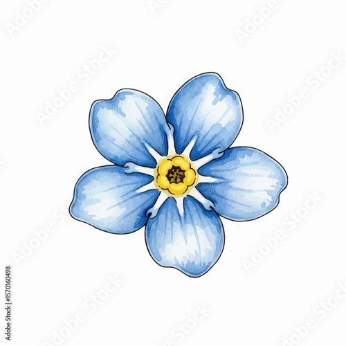 A Forget-Me-Not Flower