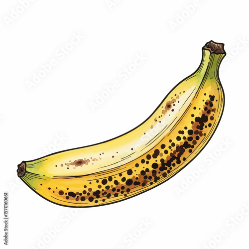 A Ripe Yellow Plantain