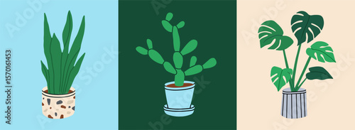 Set of posters with house plants in pots. Cactus, monstera, snake plant. For design projects, prints and post cards design, gardening blogs and editorial layouts. Vector illustration.