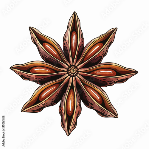 A Star Anise