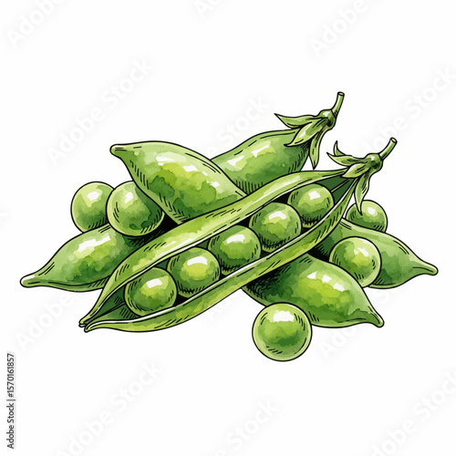 Peas in a Pod