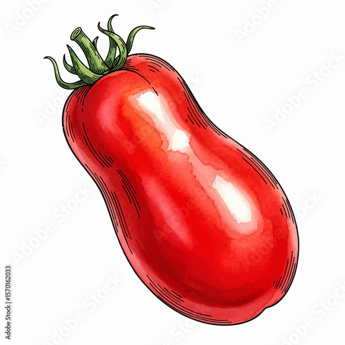 A San Marzano Tomato