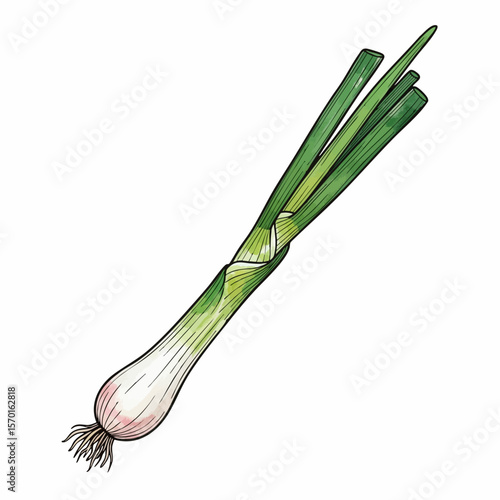 A Single Green Onion