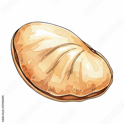 A Dried Lima Bean