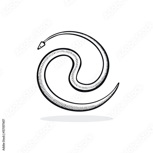 Stylized Worm Creature Curled on Black Background White Hatch Lines Animal