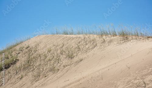 Fototapeta Naklejka Na Ścianę i Meble -  Sand dunes St Anthony Idaho, closeup