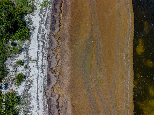 Bild auf Leinwand A dramatic aerial view of Cancun's paradise coastline invaded by sargassum — showcasing the environmental clash between luxury resorts, mangroves, and ocean pollution