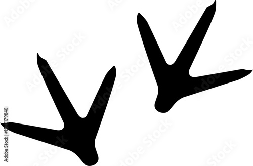Monochrome vector graphic of a chicken's claw prints
