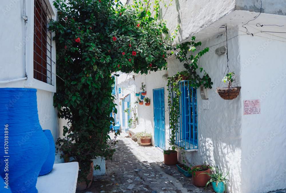 Fototapeta premium Santorini Colombia: a picturesque town with white and blue Greek-style houses in Colombia