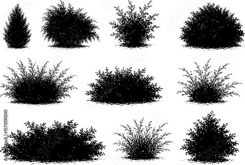 bush set silhouettes 