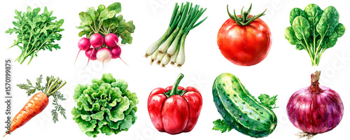 Watercolor vegetables set with transparent background  