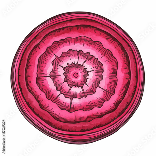 Beet Slice