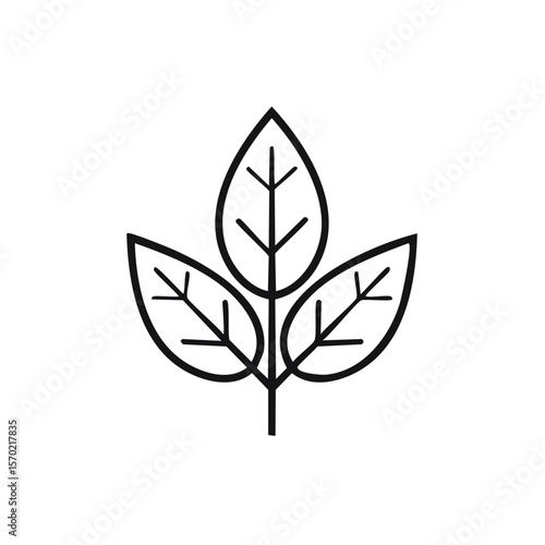 Minimalist Leaf Branch Illustration Organic Nature Three Leaves on Stem Simple Outline Botany Symbol Dark Background