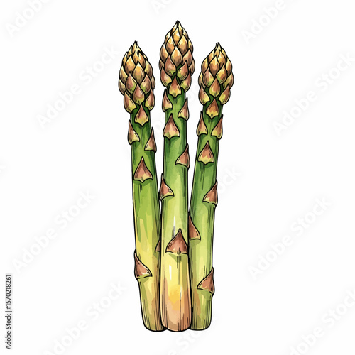 Toasted Asparagus Tips