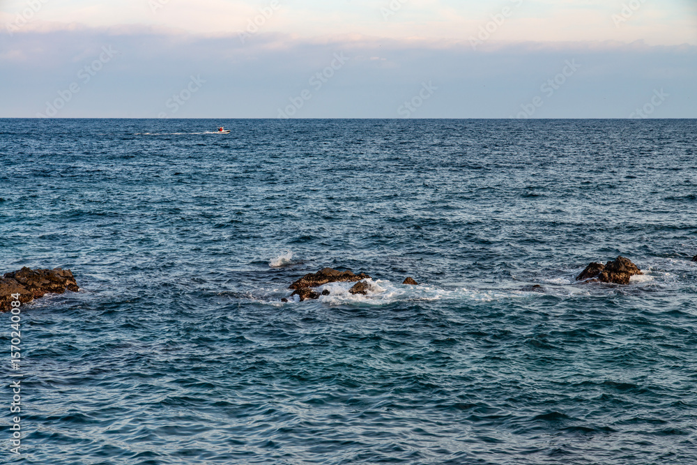 Fototapeta premium rock and wave on the sea