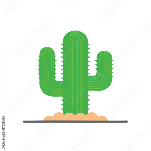 Saguaro Cactus Isolated on ...