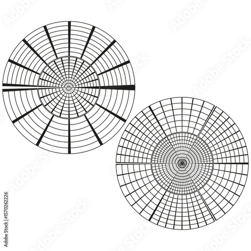 Electromagnetic surveillance network. Radial geodesic projection. Concentric wireframe Vector. Geometric mapping circles.