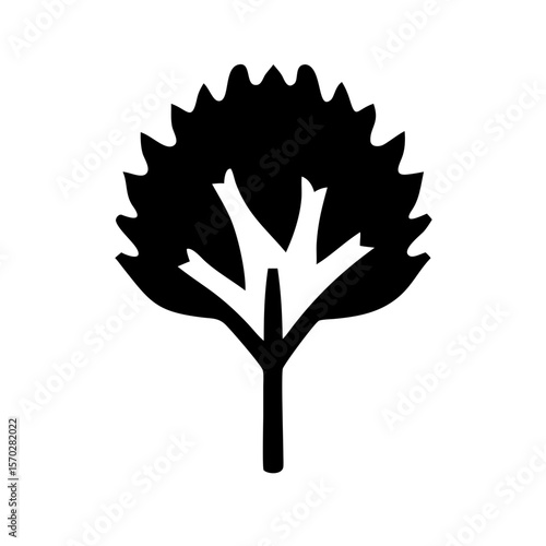 sycamore tree icon