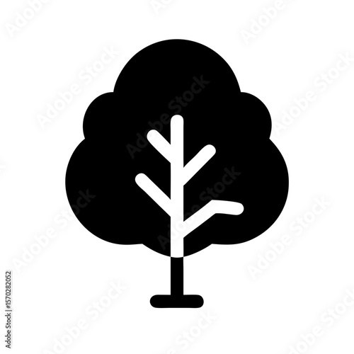 sycamore tree icon