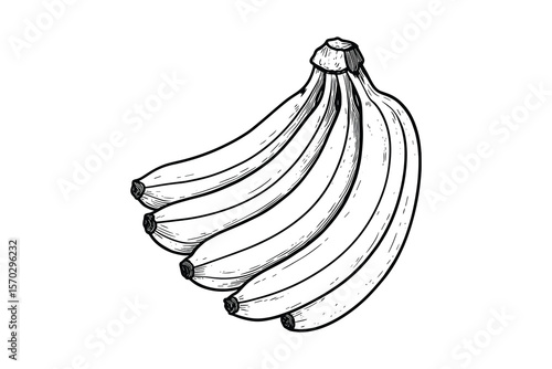 Bunch of Bananas Fresh and Ripe Tropical Fruit Healthy Food Design