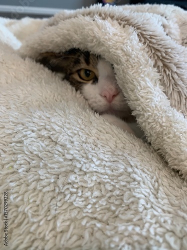 close up of a fur coat