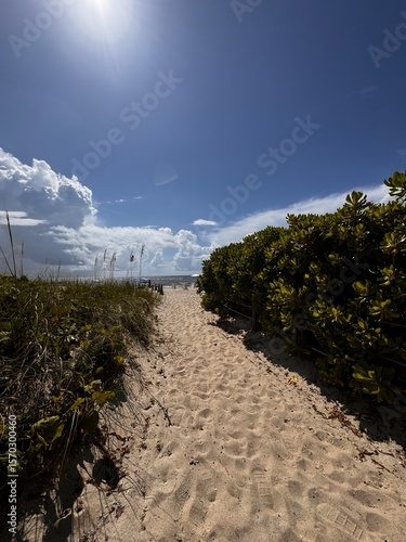 path to the beach
