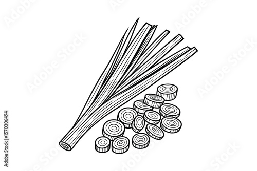Fresh Leeks Whole and Sliced Cooking Ingredient Flavorful Food Design