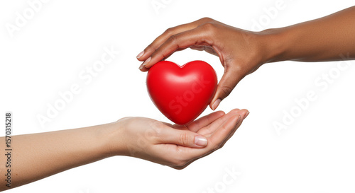 Giving Hands Hold a Red Heart Symbol of Love PNG Transparent