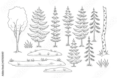 Monochrome Forest Scene with Coniferous Trees and Grassy Patches Drawing