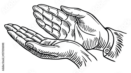 Open Palms Drawing