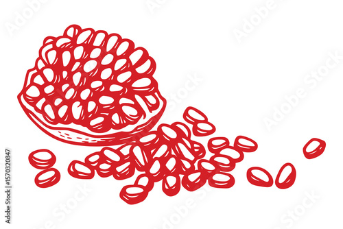 Pomegranate Slice with Seeds Isolated on White Background Fruit Illustration