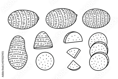 Taro Root Vector Illustration Set with Slices and Whole Root Drawings