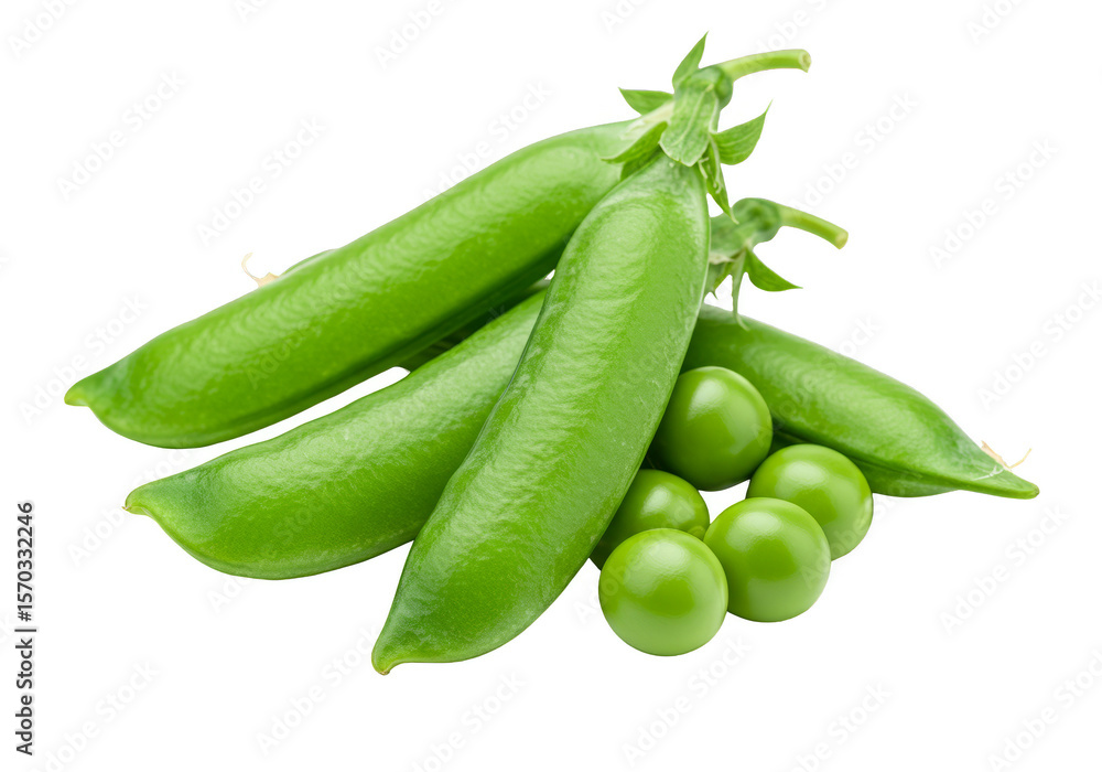 Isolated Close Up Fresh Green Peas Pods Vegetable Food Ingredient Isolated Close Up Fresh Green Peas Pods Vegetable Food Ingredient