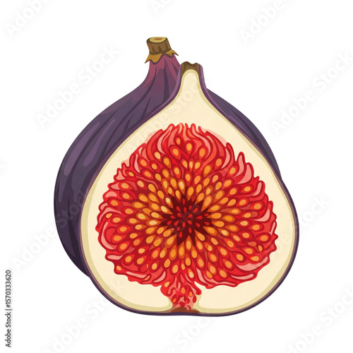 Fig Slice Vector, Half Fig Fruit Illustration, Minimalist Flat Design Icon