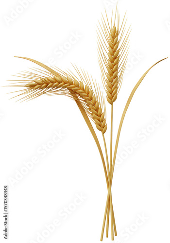 Isolated Wheat Grain Harvest Gold Field Agriculture PNG Illustration