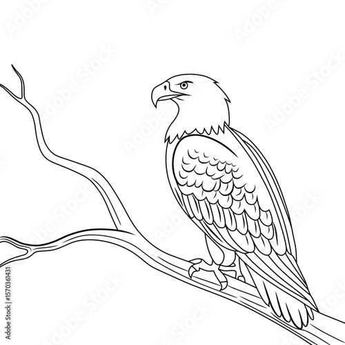 Black and white outline of a bald eagle perched on a tree branch. Perfect for coloring pages, wildlife education, tattoo designs, or nature-themed illustrations.