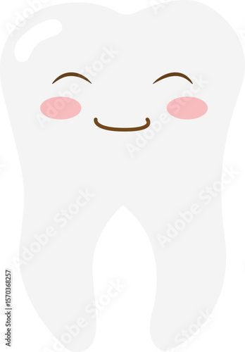 어금니